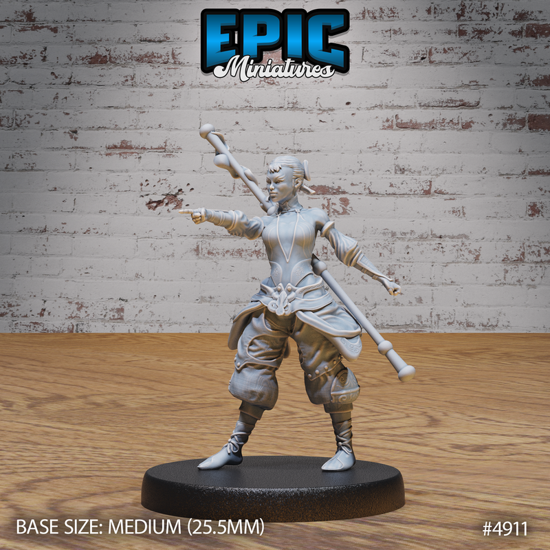 Monk Adventurer 3D-printed model
