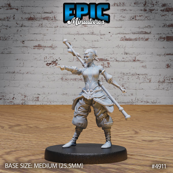 Monk Adventurer 3D-printed model