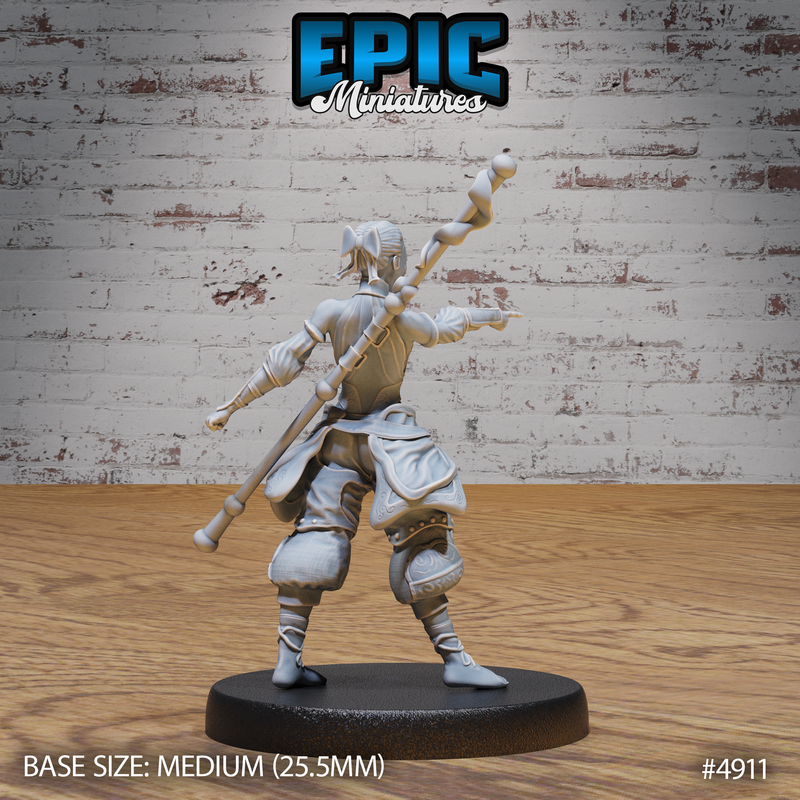 Monk Adventurer 3D-printed model