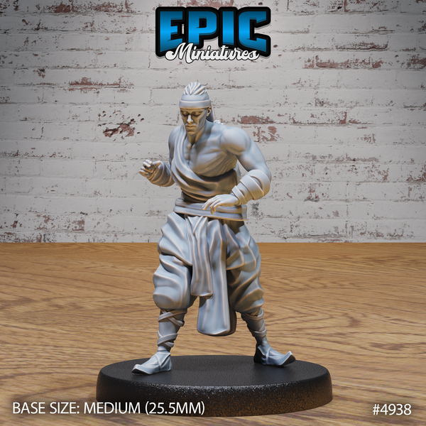 Martial Arts 3D-printed model