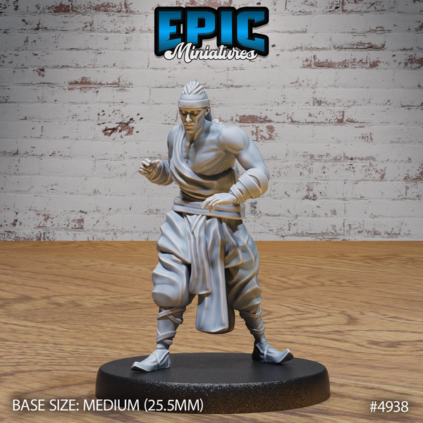 Martial Arts 3D-printed model
