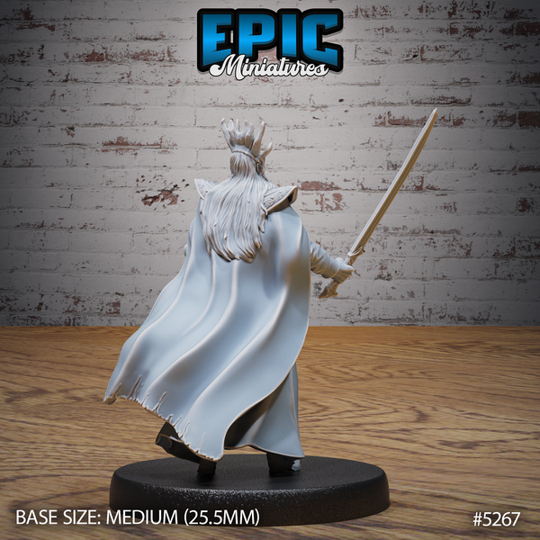 High Elf King 3D-printed model