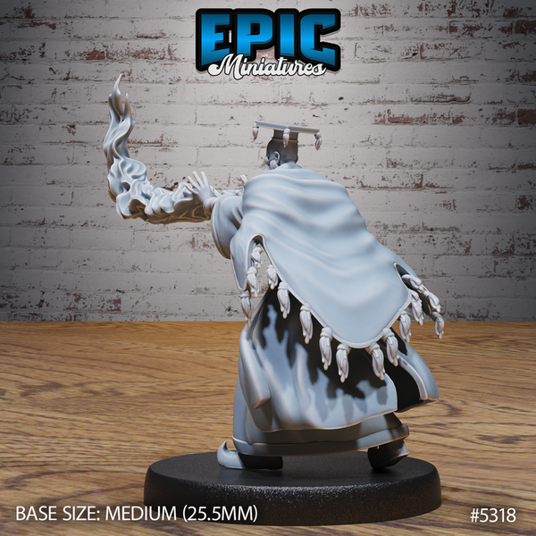 Schoolar Wizard 3D-printed model