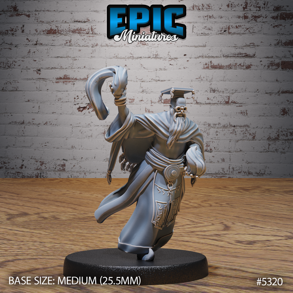 Schoolar Wizard 3D-printed model