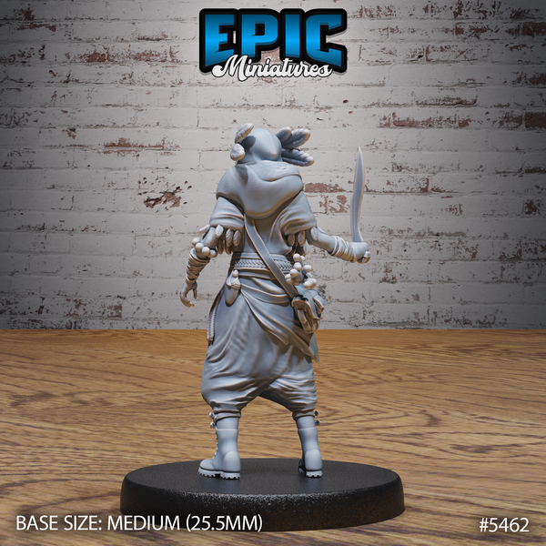 Desert Druid 3D-printed model