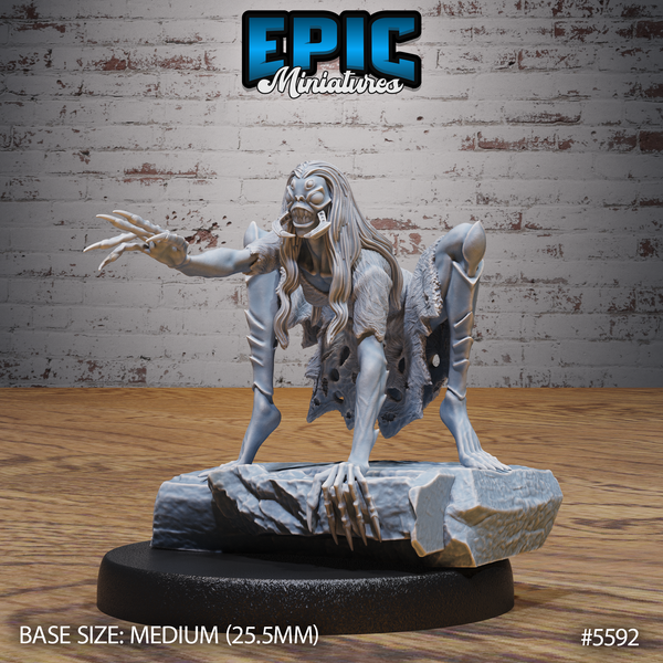 Spider Hag