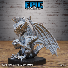 Silver Dragon Wyrmling