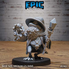 Frog Wizard