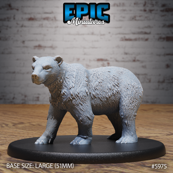 Polar Bear