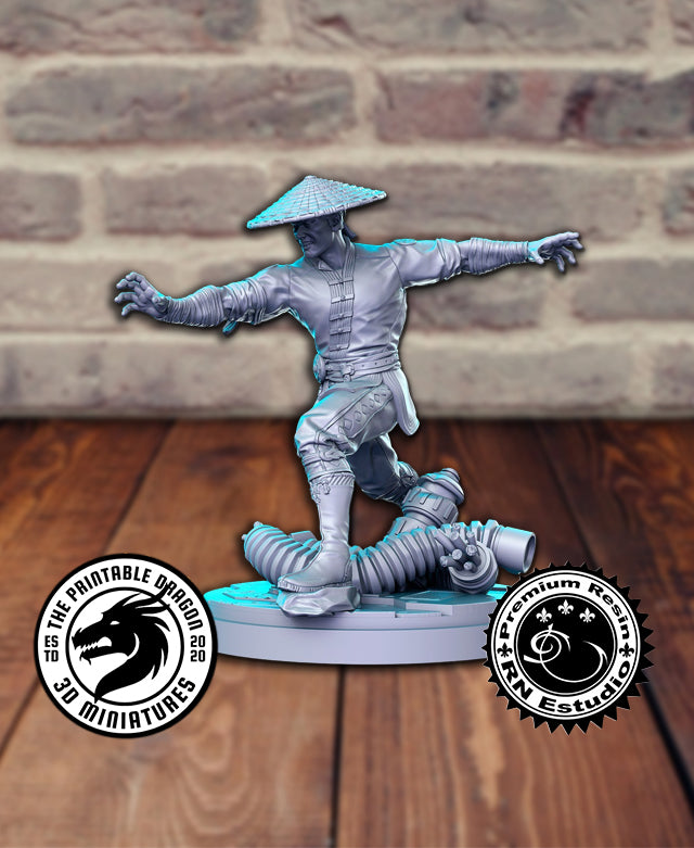 Raiden 3D-printed model
