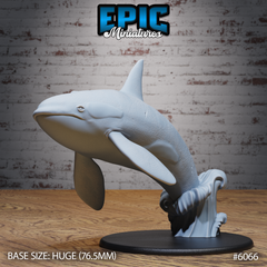 Orca Jump