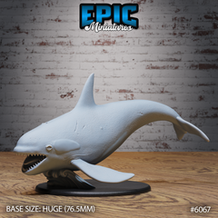 Orca Attack