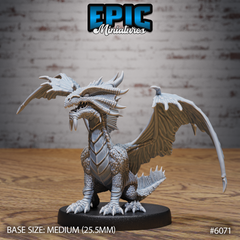 Bronze Dragon