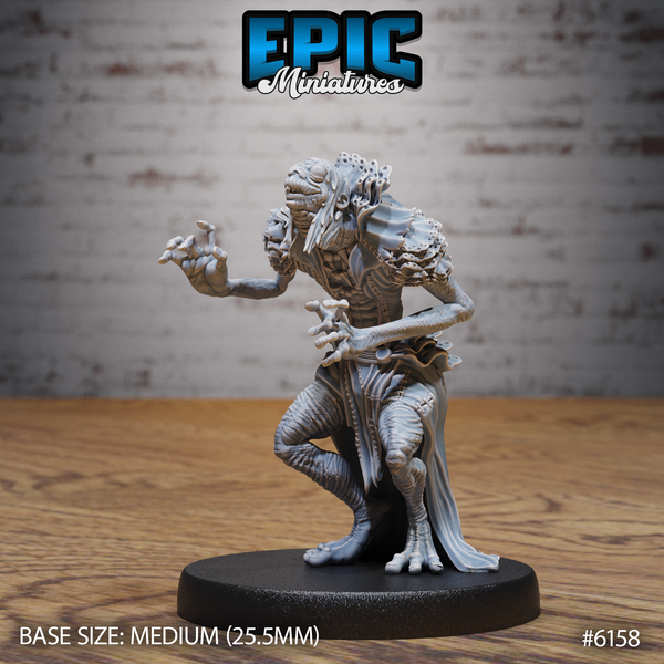 Swamp Elder