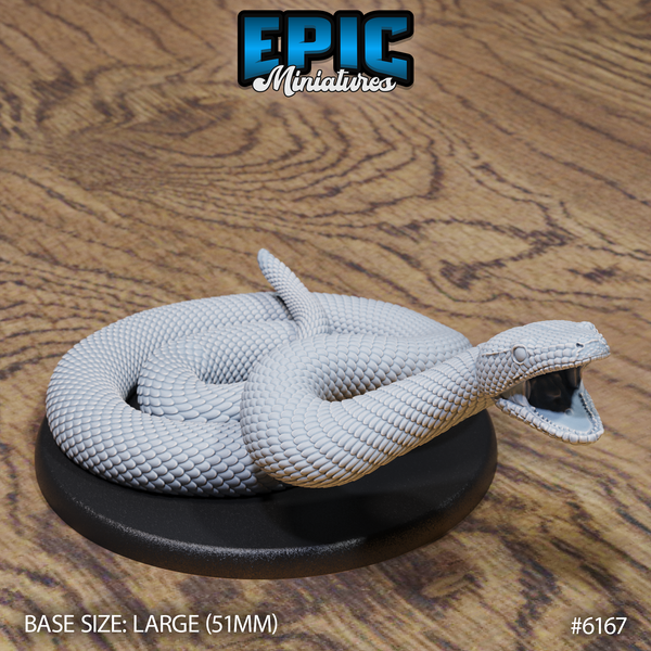 Boa Constrictor