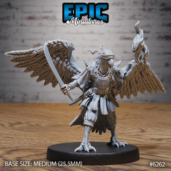 Hawk Folk