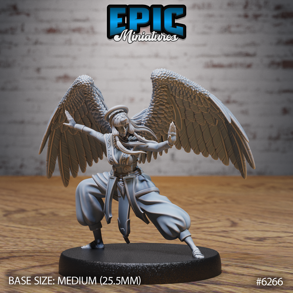 Angel Monk