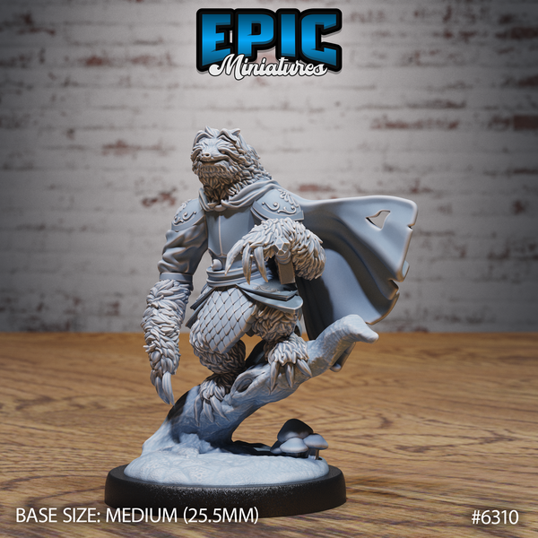 Sloth Paladin