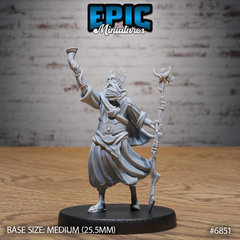 Druid Mimir