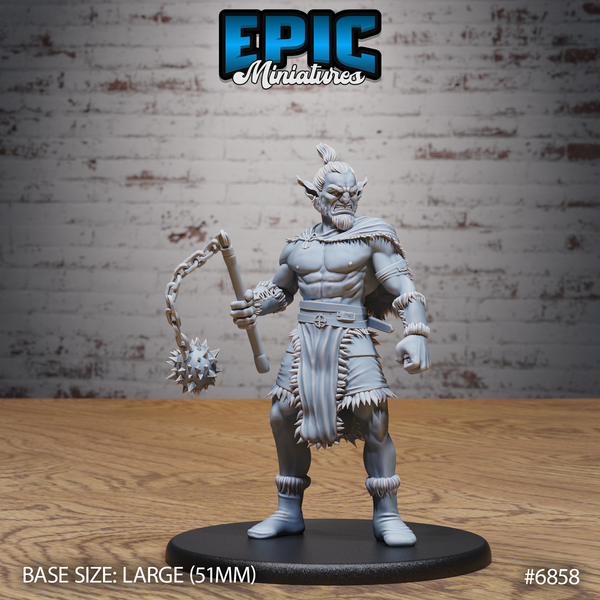 Barbarian Firbolg