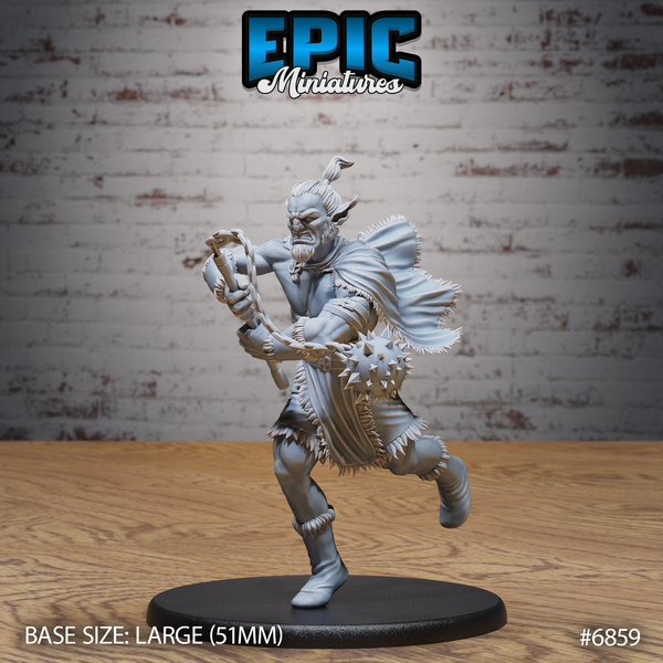 Barbarian Firbolg