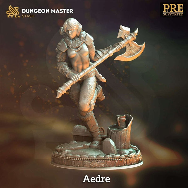 Aedre 3D-printed model