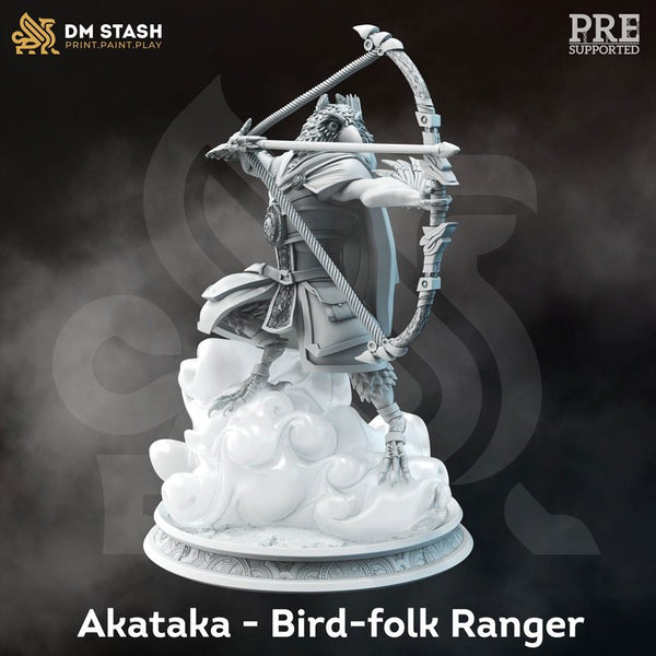 Akataka 3D-printed model