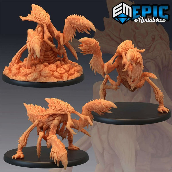 Ankheg 3D-printed model