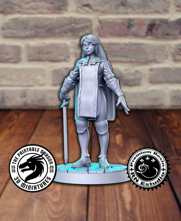 Aramis 3D-printed model