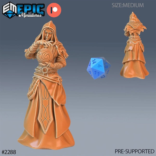 Arcane Sorceress 3D-printed model