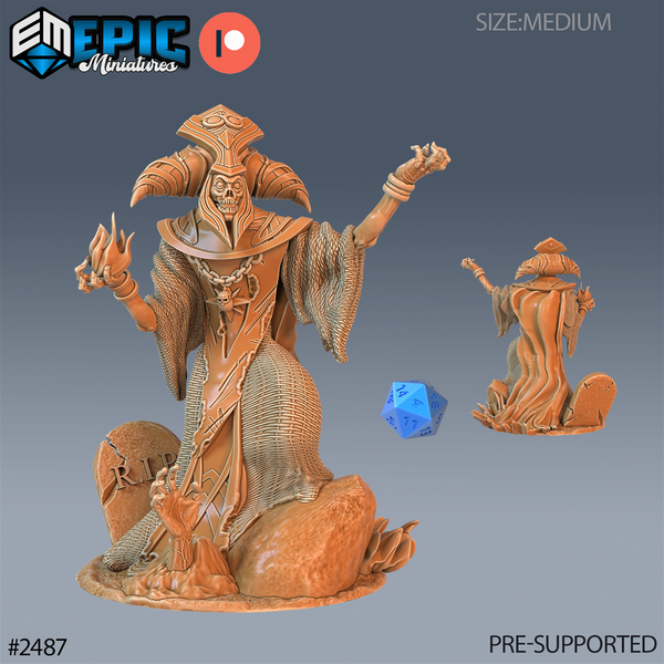 Arch Lich 3D-printed model