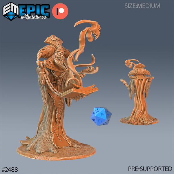 Arch Lich 3D-printed model