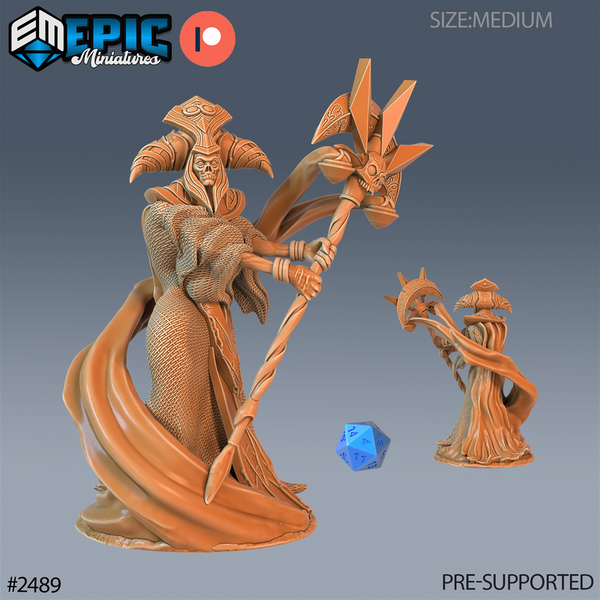 Arch Lich 3D-printed model