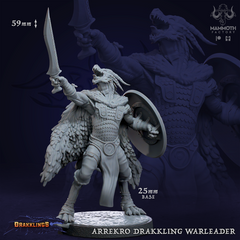 Arrekro Drakkling War leader 3D-printed model