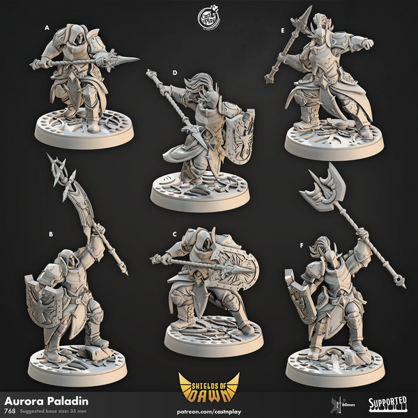 Aurora Paladin 3D-printed model