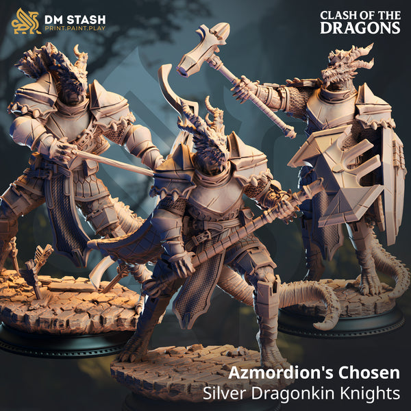 Azmordion s Chosen - Silver Dragonkin Knights