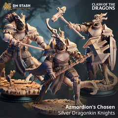 Azmordion s Chosen - Silver Dragonkin Knights