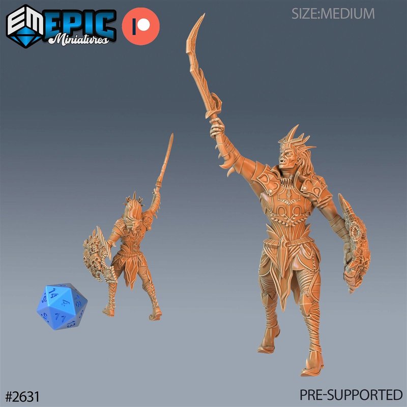 Blood Paladin 3D-printed model