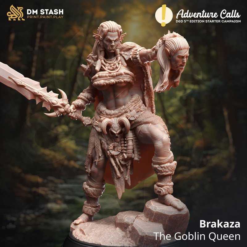 Brakaza 3D-printed model