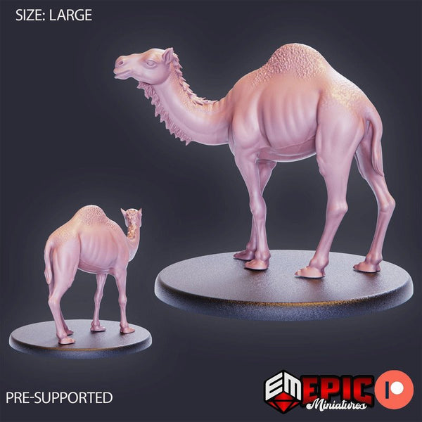 Camel 3D-printed model