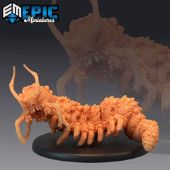 Carrion Bug