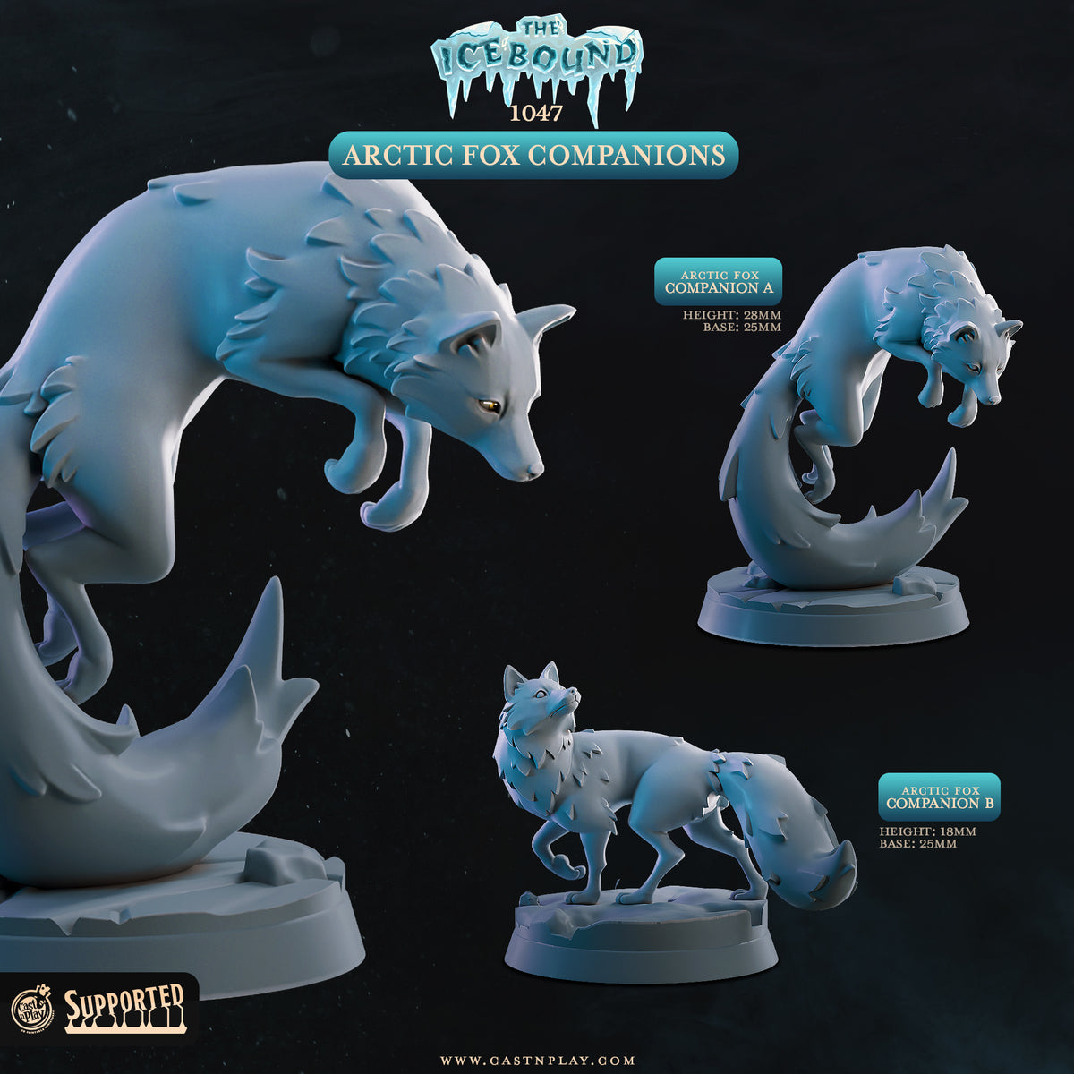 Artic Fox Companions