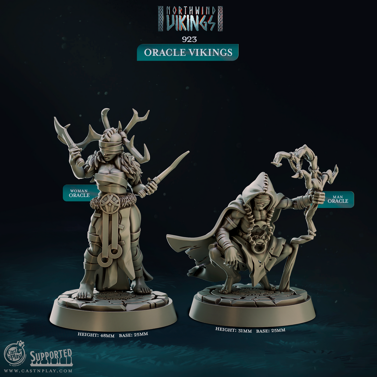 Oracle Vikings 3D-printed model