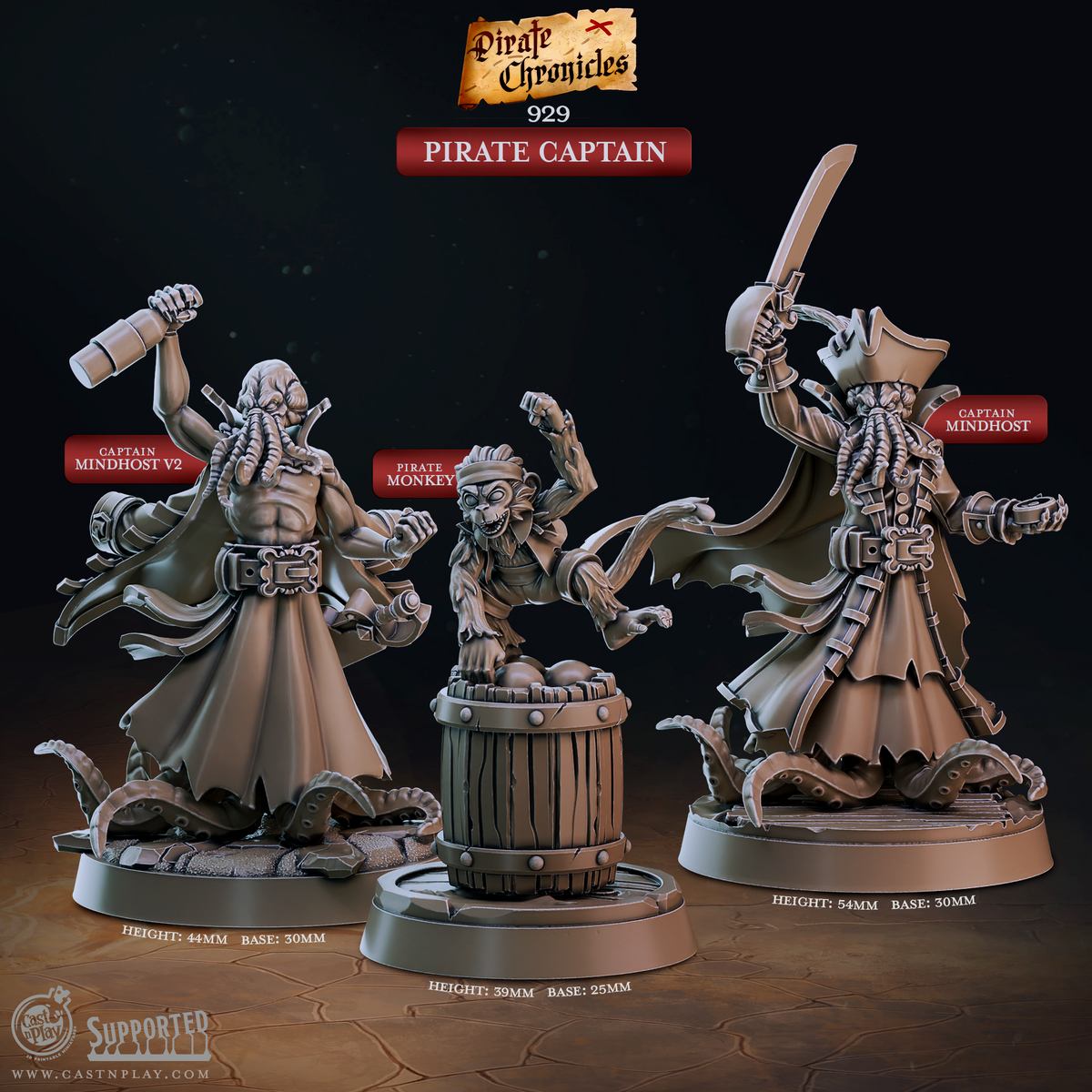 Pirate Captain 3D-printed model