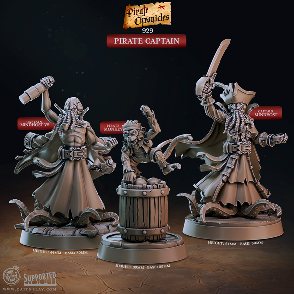 Pirate Captain 3D-printed model