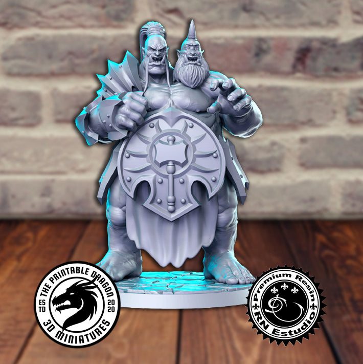 Cho'S Gall 3D-printed model