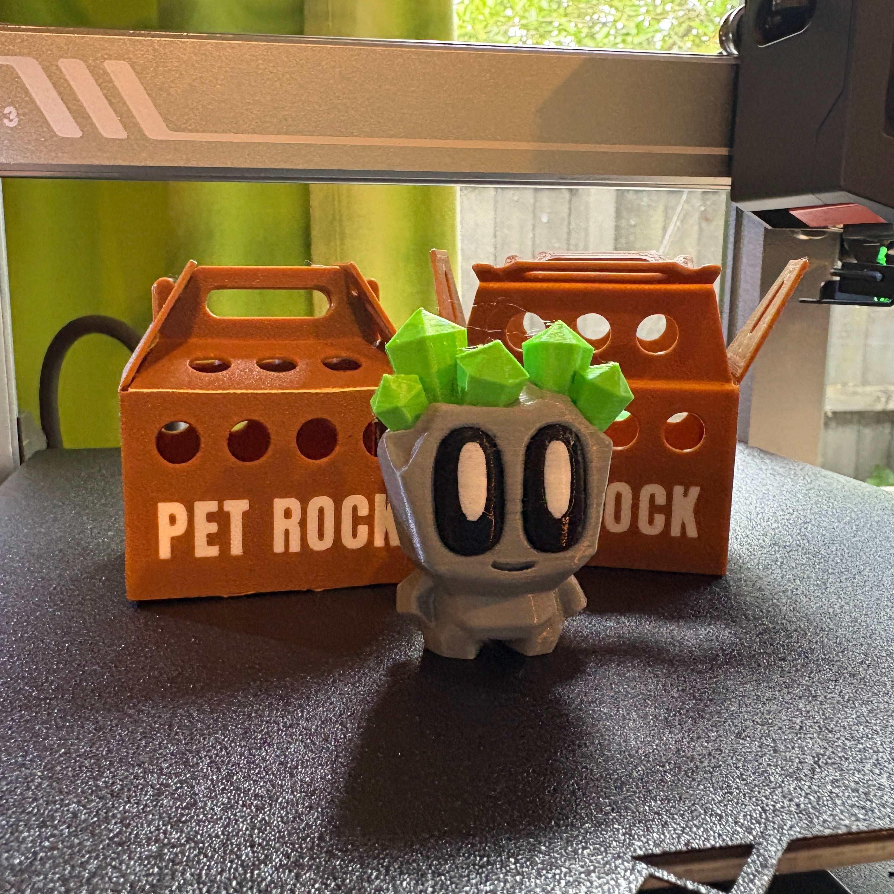 Pet Rocks