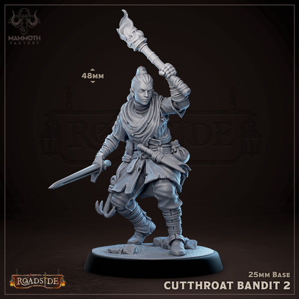 Cutthroat Bandits 3D-printed model