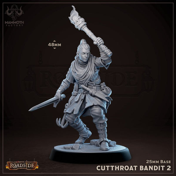 Cutthroat Bandits 3D-printed model