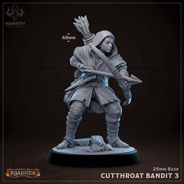 Cutthroat Bandits 3D-printed model
